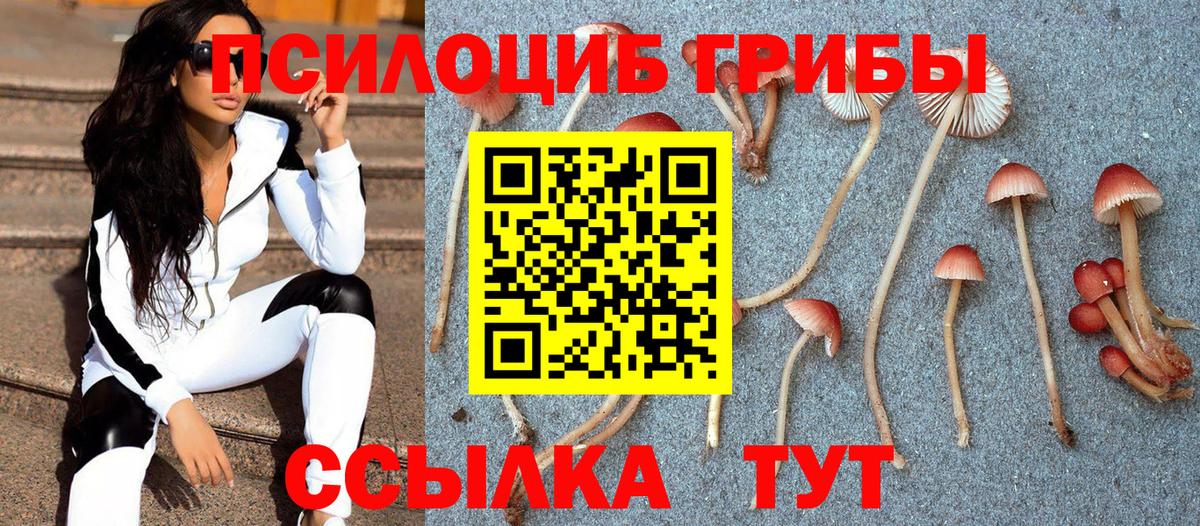 Галлюциногенные грибы ЛСД  Вход с VPN  закладка  Псилоцибиновые грибы GOLDEN TEACHER  Сунжа 