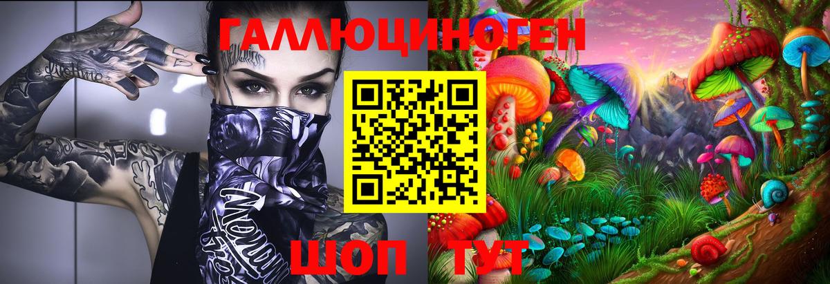 Галлюциногенные грибы Psilocybe Сунжа
